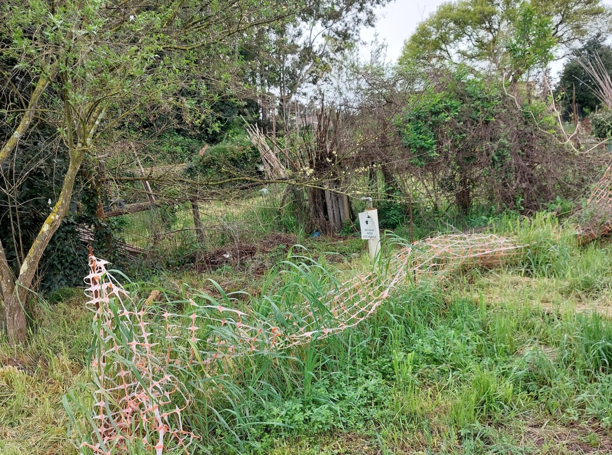 Manutenzione in corso al Parco della Cellulosa, ma restano criticità legate al cantiere del collettore fognario
