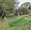 Manutenzione in corso al Parco della Cellulosa, ma restano criticità legate al cantiere del collettore fognario
